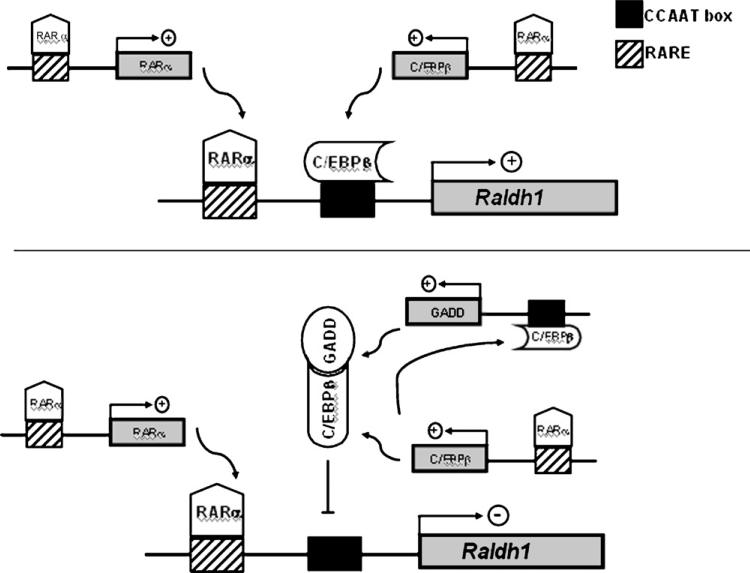 Fig. 10