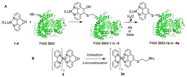 Scheme 2