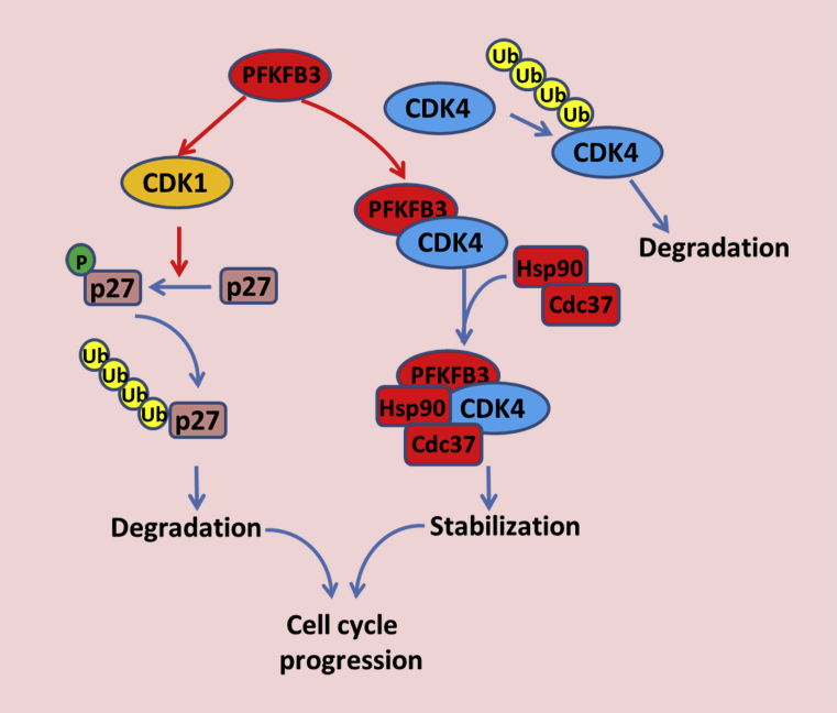 Figure 3