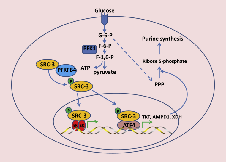 Figure 4