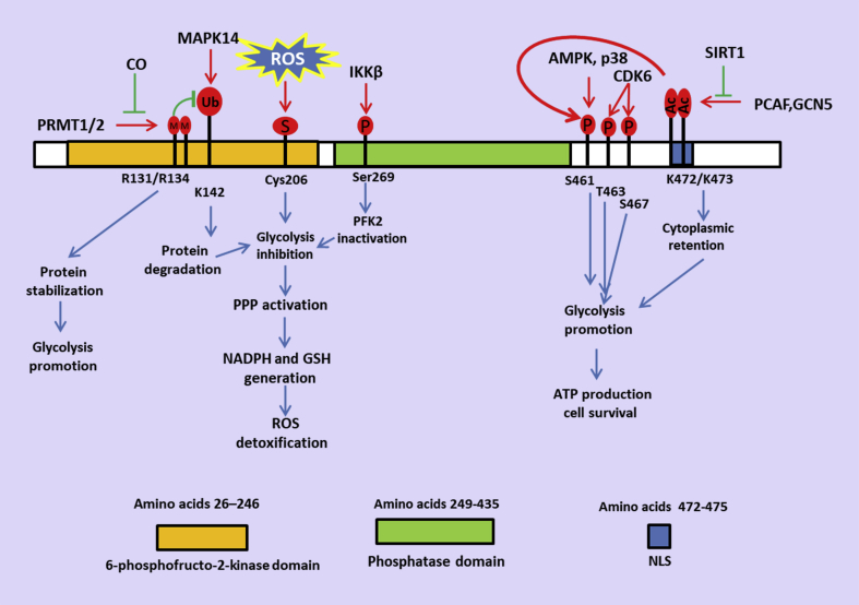 Figure 2