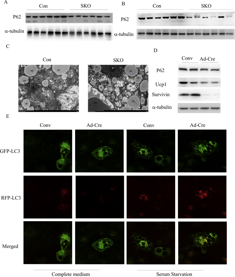 Figure 6