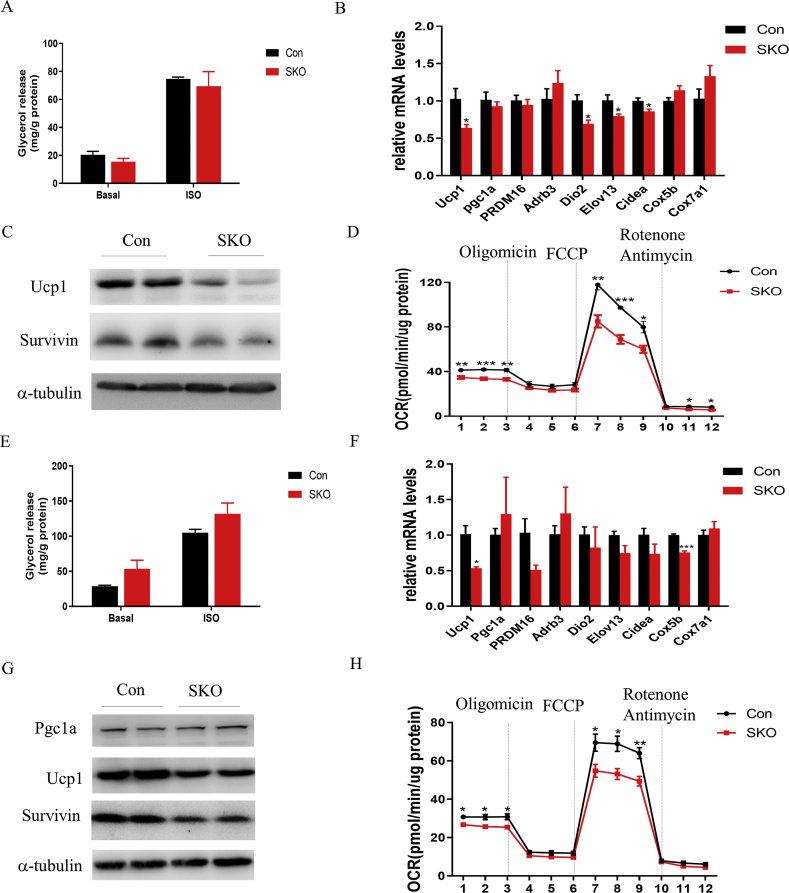 Figure 5