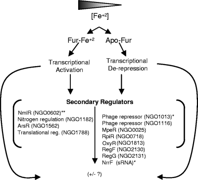 FIG. 6.