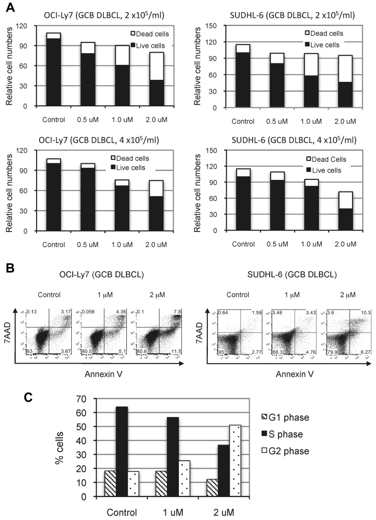 Figure 6