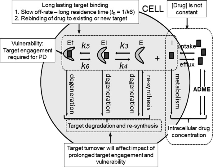 Fig. 10.