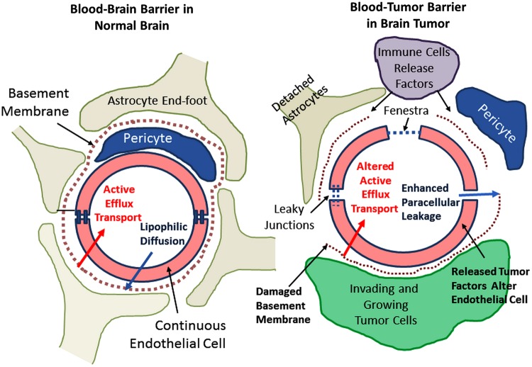 Fig. 4.