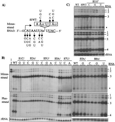 FIG. 6.