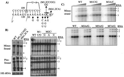 FIG. 2.