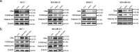 graphic file with name 41467_2020_17413_Figb_HTML.gif
