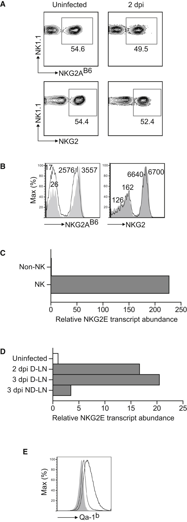 Figure 5