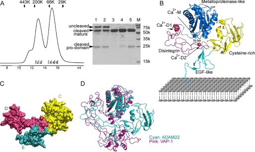 FIGURE 1.