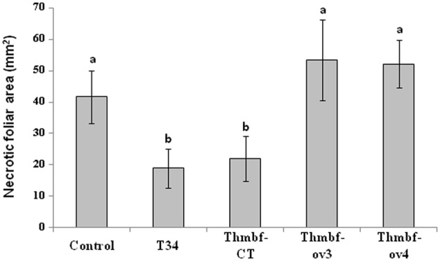 FIGURE 3