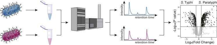 graphic file with name JEM_20190065_Fig2.jpg