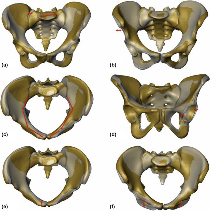 FIGURE 3