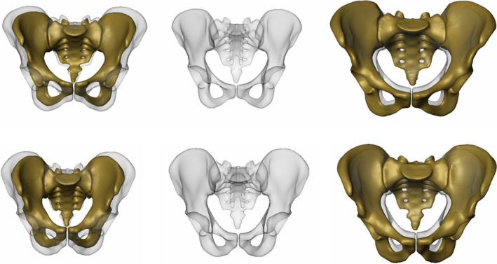 FIGURE 1