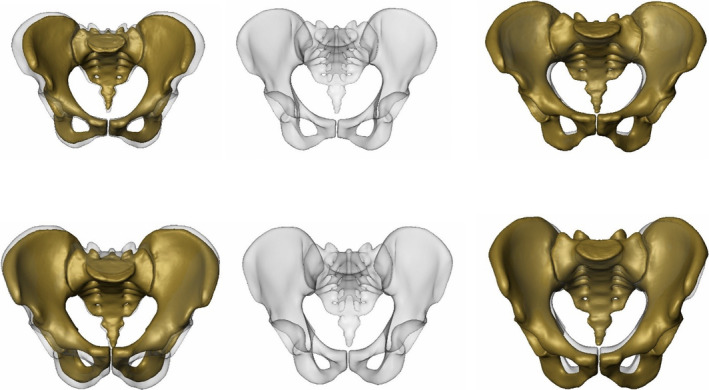 FIGURE 2