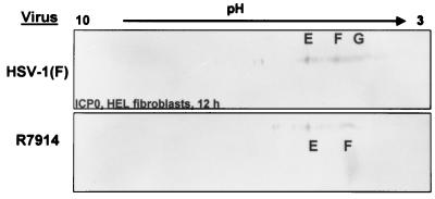 FIG. 8