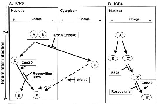 FIG. 9