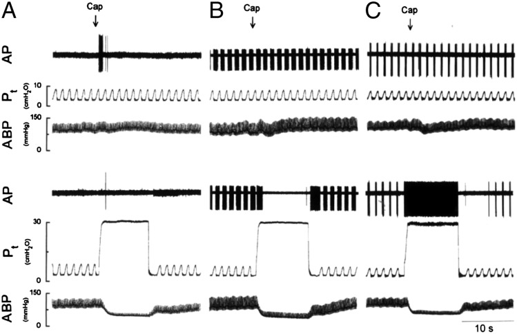 Figure 2 – 