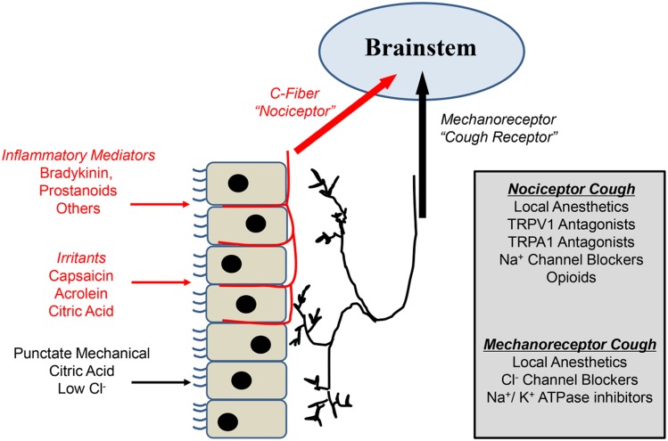 Figure 1 – 