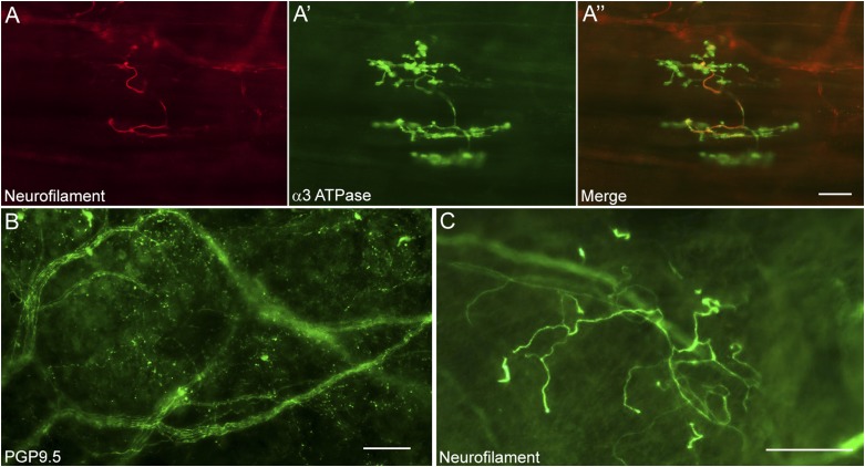 Figure 3 – 