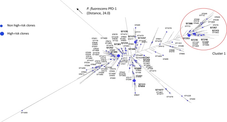 FIG 1