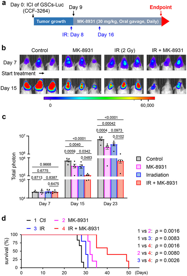 Fig. 6: