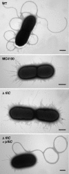 FIG. 3.