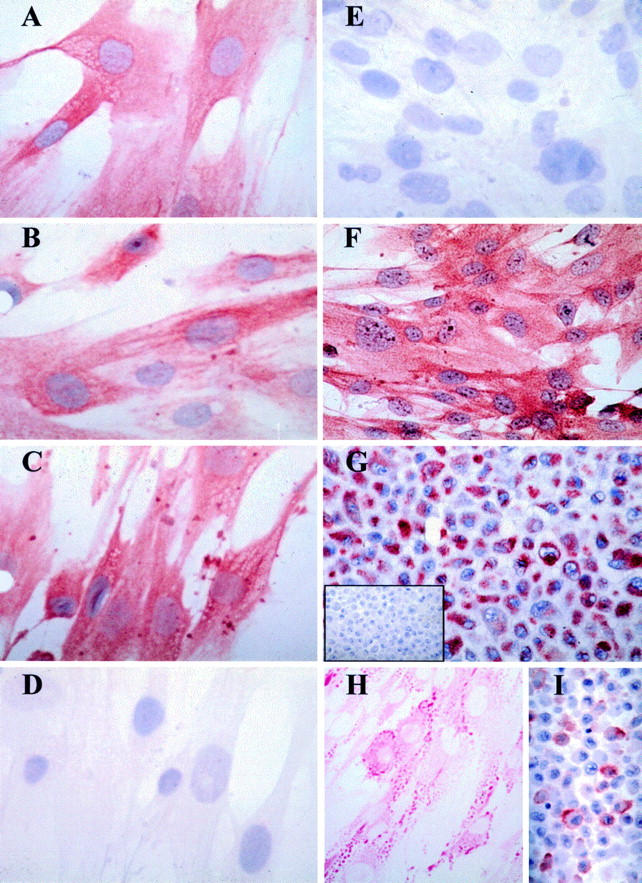 Figure 2  