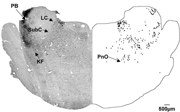 Figure 9