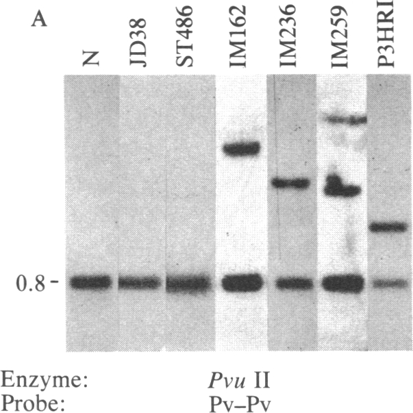 graphic file with name pnas00313-0217-a.jpg