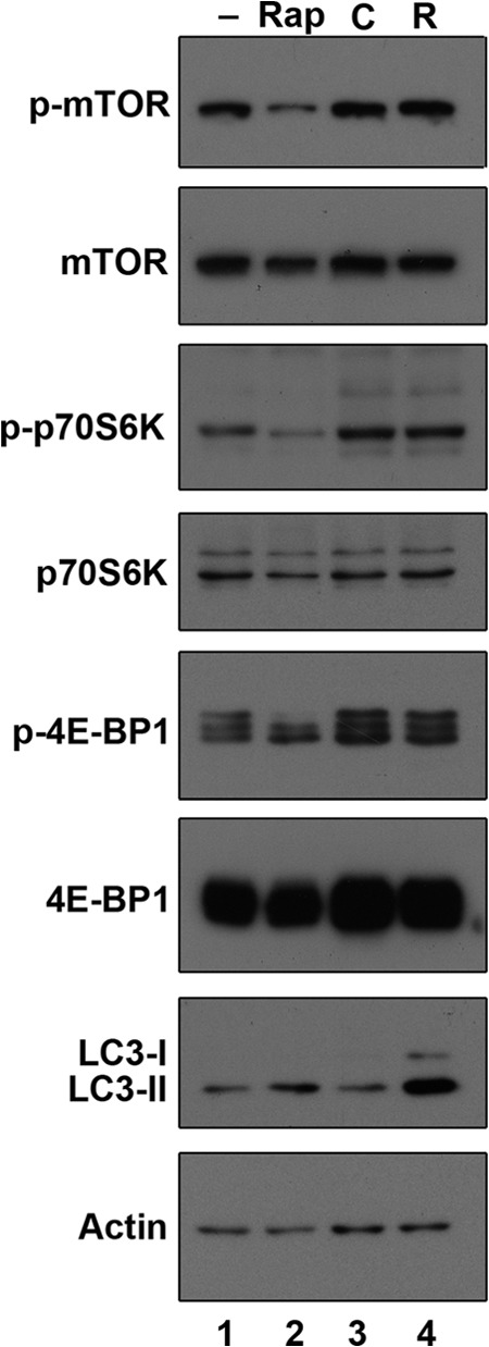 FIG 4