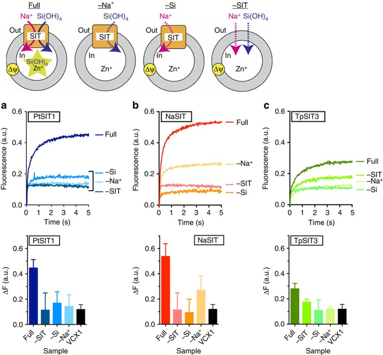 Figure 4