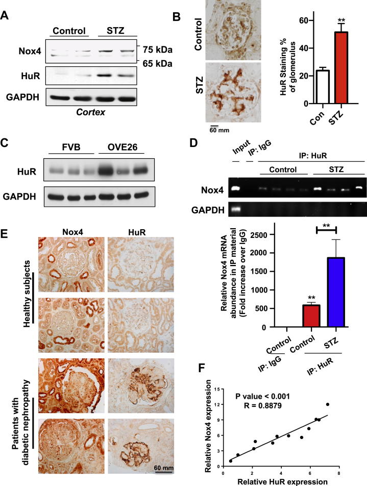 Figure 4