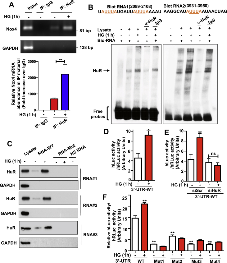 Figure 3