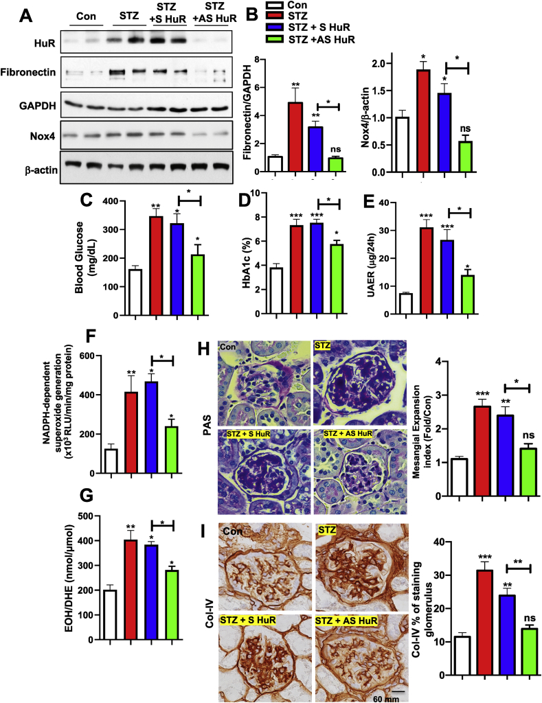 Figure 5