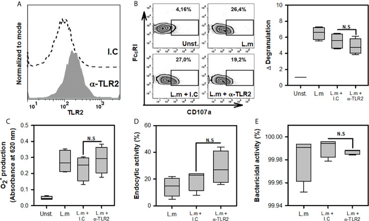 Figure 4