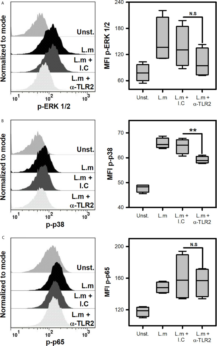 Figure 6