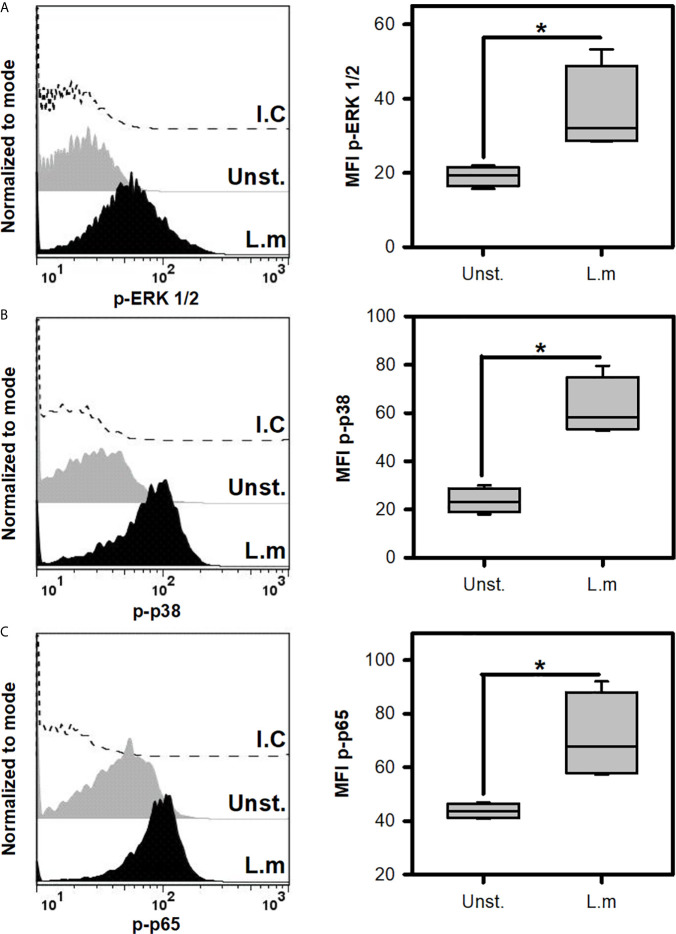 Figure 3