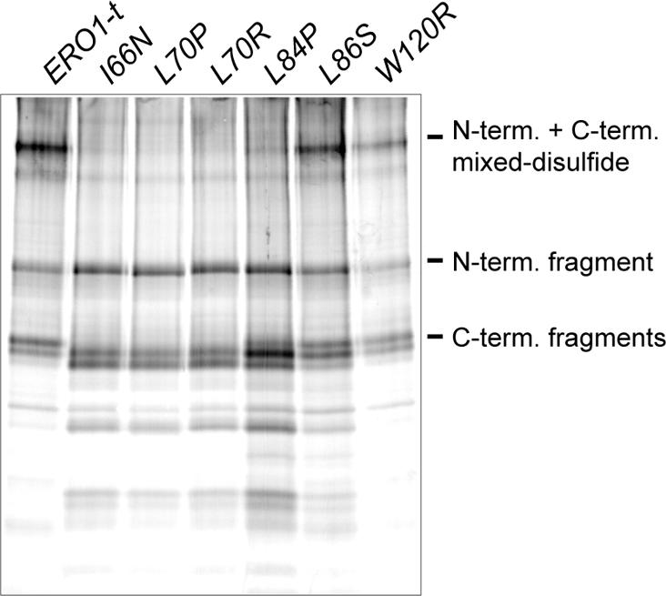 Figure 6.