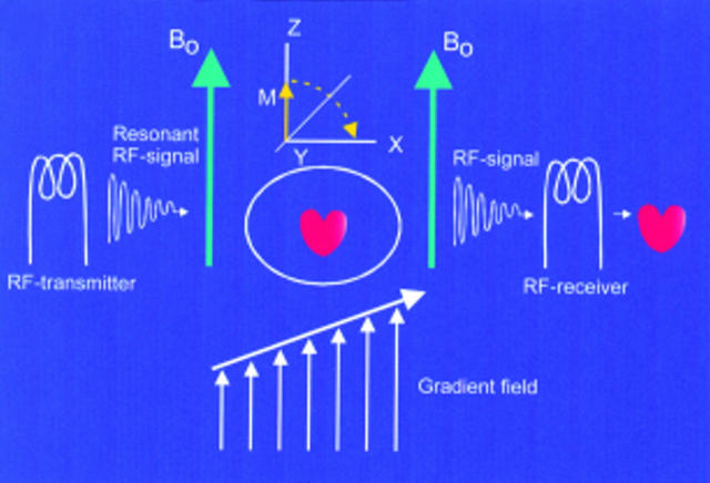 Figure 2  