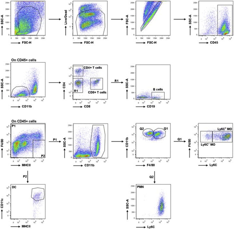 Supplementary Fig. S2