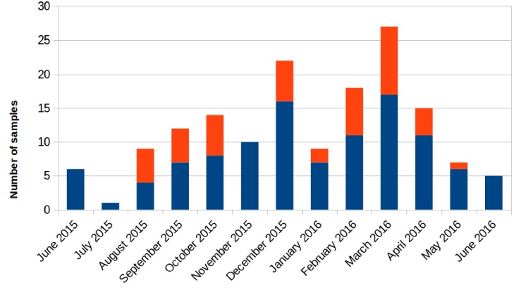 FIGURE 1