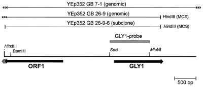 FIG. 1