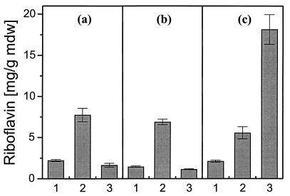 FIG. 5