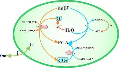 Fig. 2.