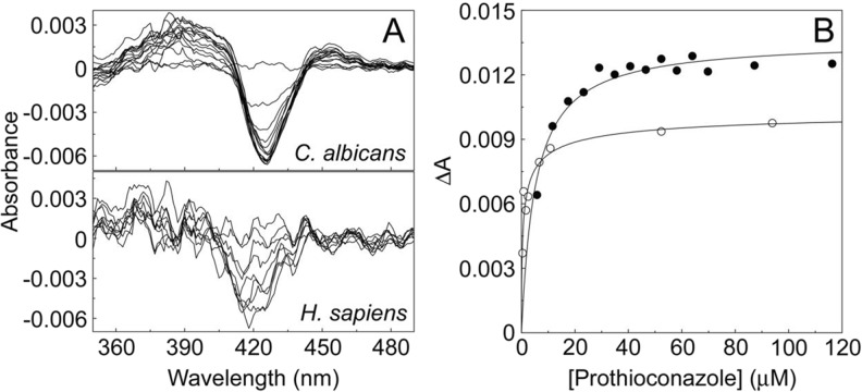 Fig. 9