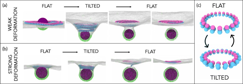 Fig. 4.