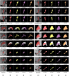 Fig 6
